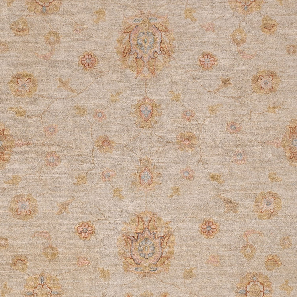 Ziegler Carpet - 291 x 250 cm - beige