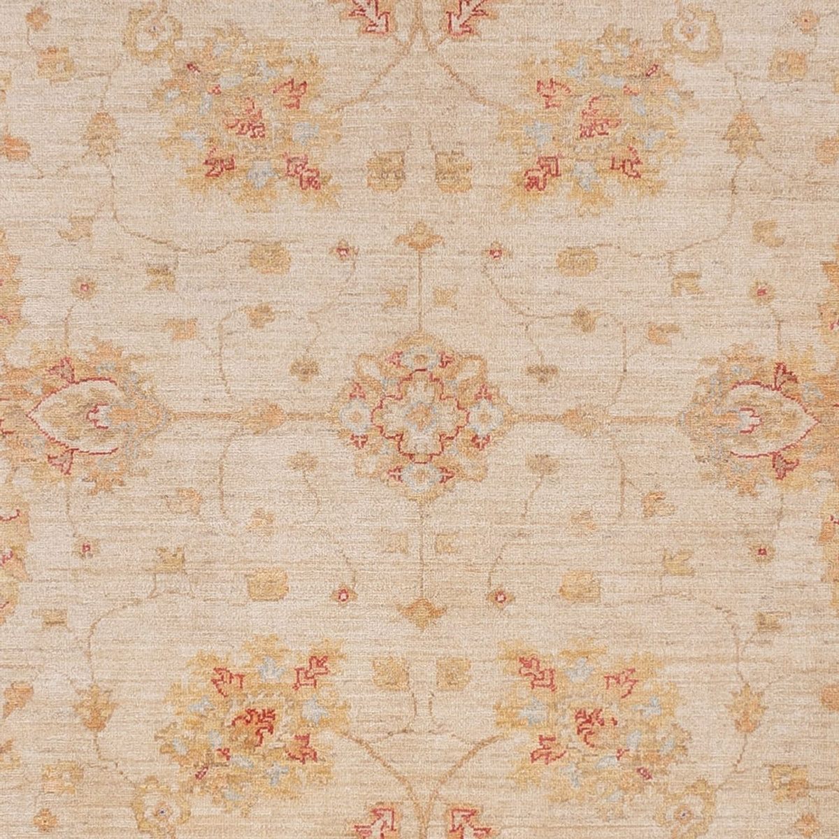 Ziegler Carpet - 319 x 246 cm - beige