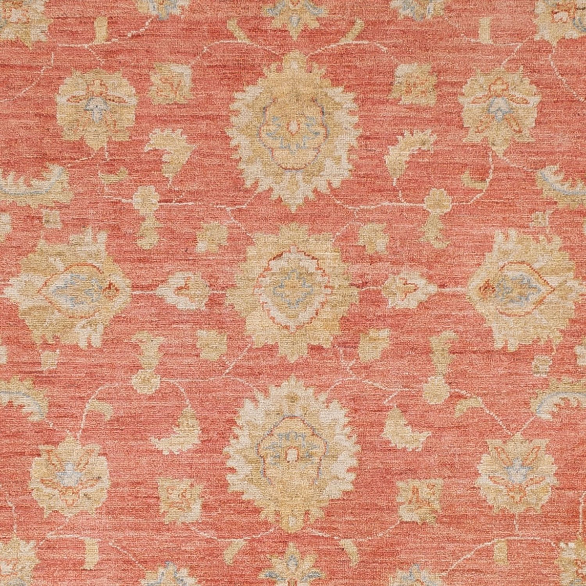 Ziegler Carpet - 291 x 250 cm - ljusröd