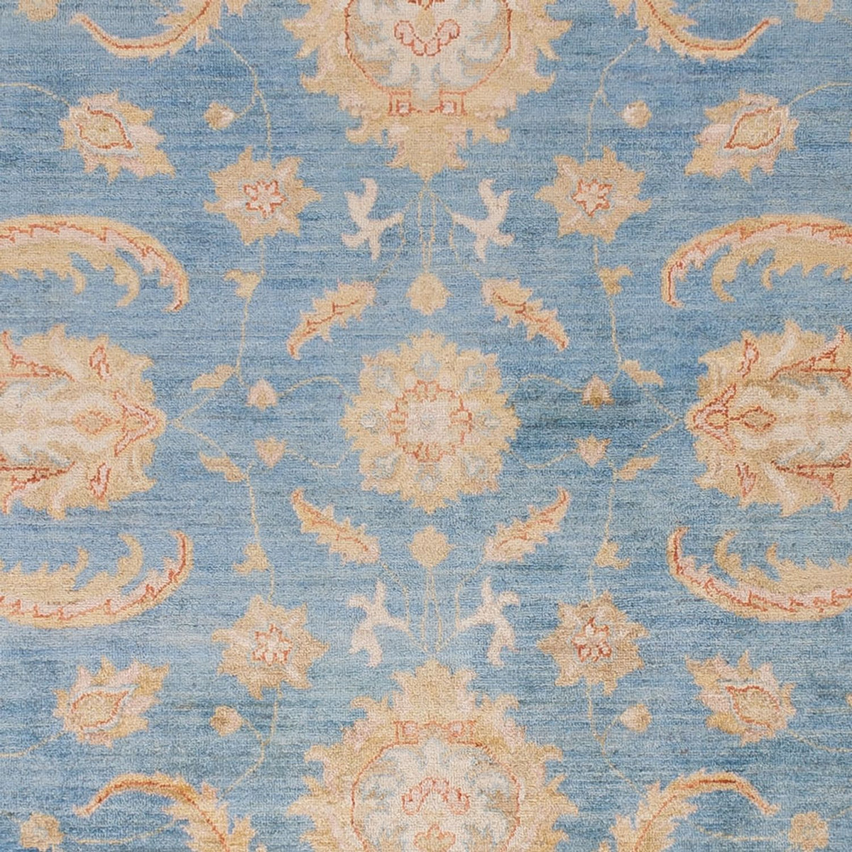 Ziegler Carpet - 297 x 255 cm - ljusblå