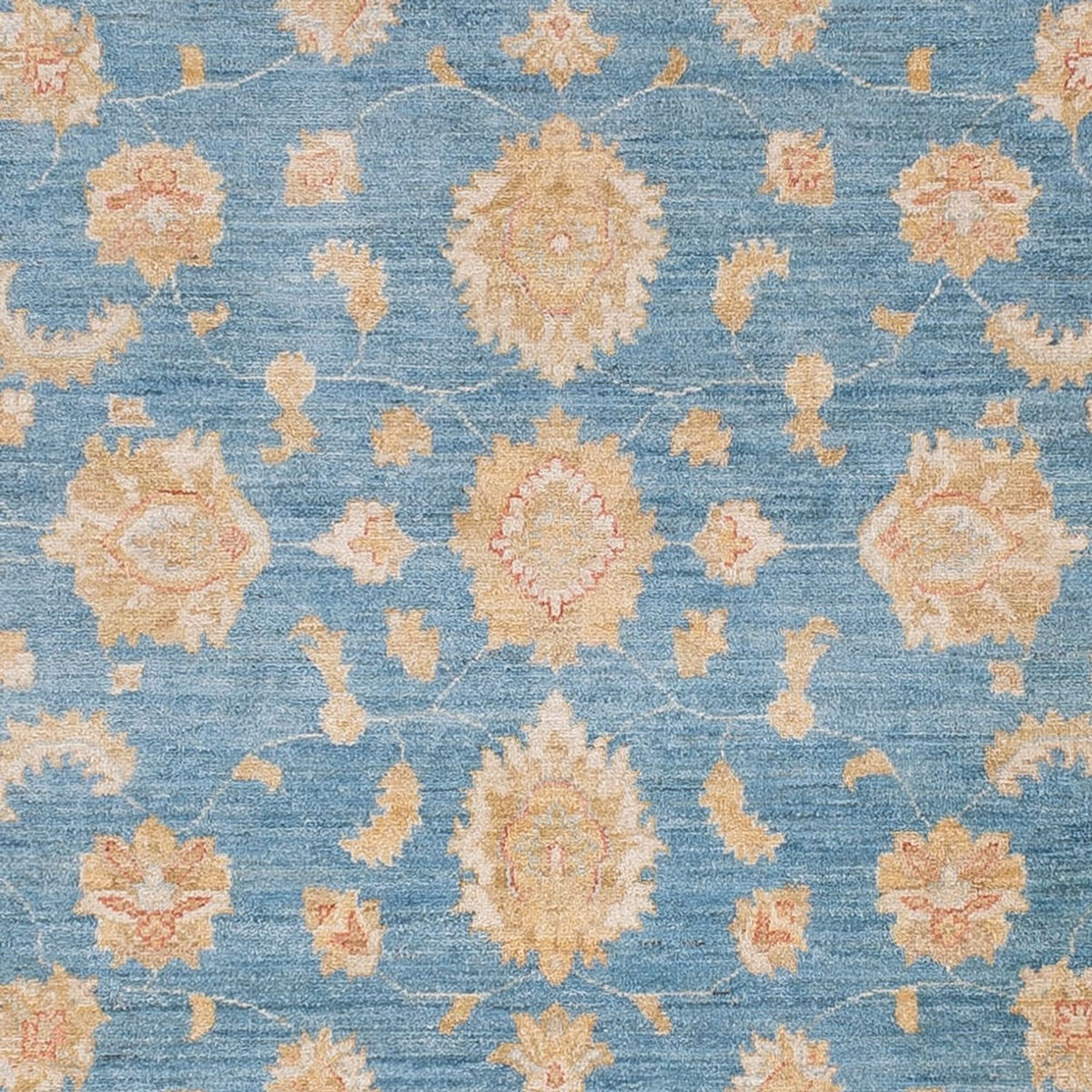 Ziegler Carpet - 298 x 250 cm - ljusblå