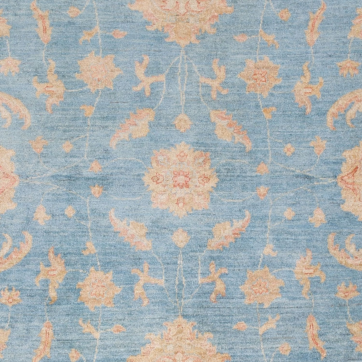 Ziegler Carpet - Modern - 309 x 252 cm - ljusblå