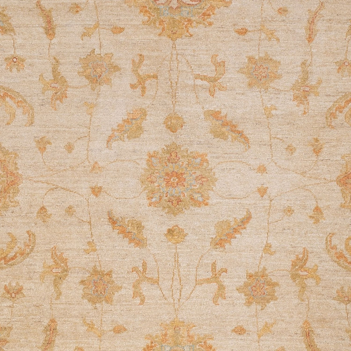 Ziegler Carpet - 315 x 248 cm - beige