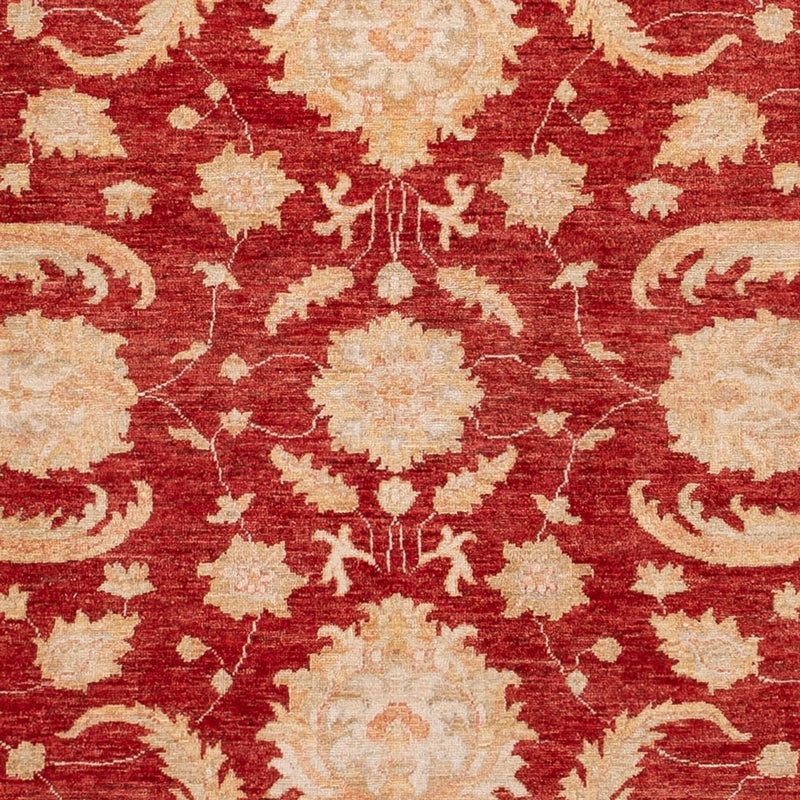 Ziegler Carpet - 297 x 252 cm - röd