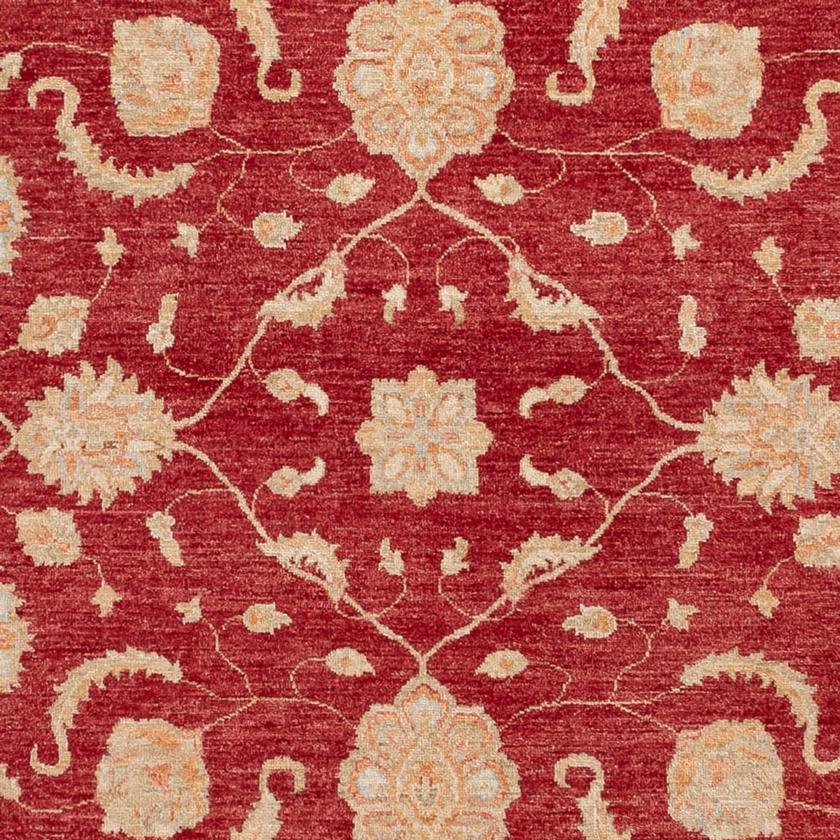 Ziegler Carpet - 294 x 250 cm - röd