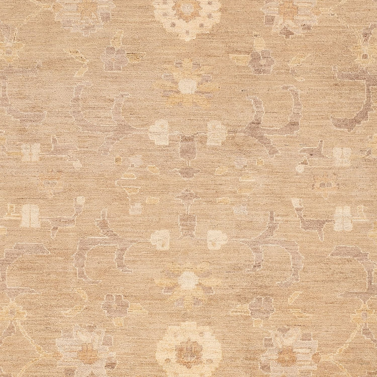 Ziegler Carpet - 286 x 248 cm - karamell