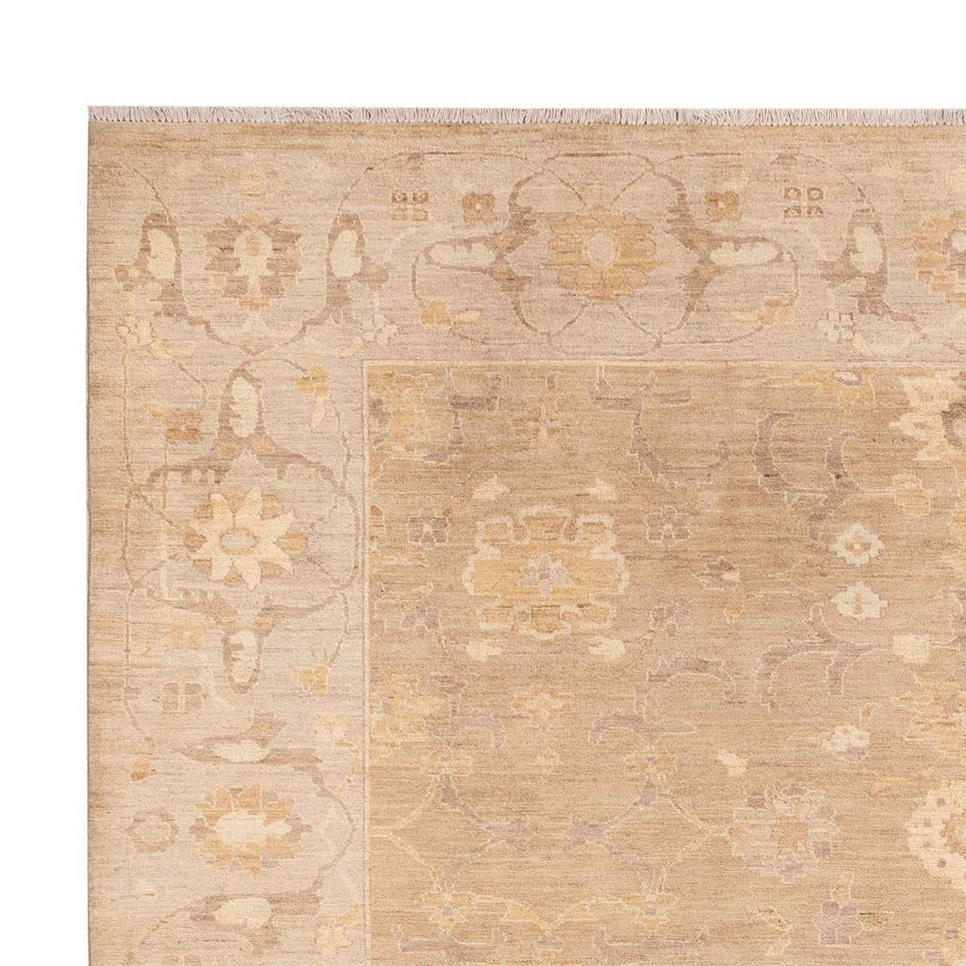 Ziegler Carpet 286x248cm - Oriental Carpet