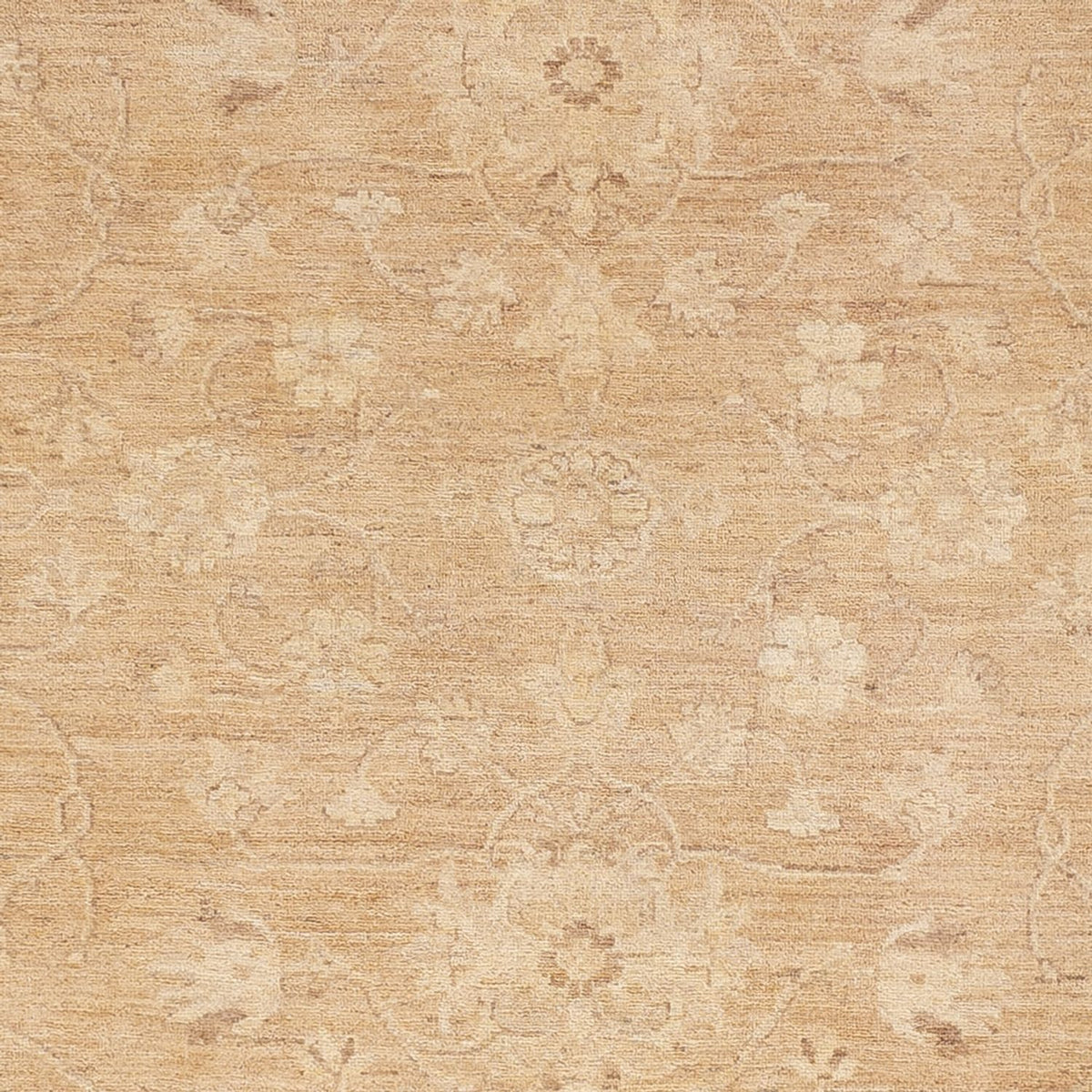 Ziegler Carpet - 305 x 240 cm - karamell
