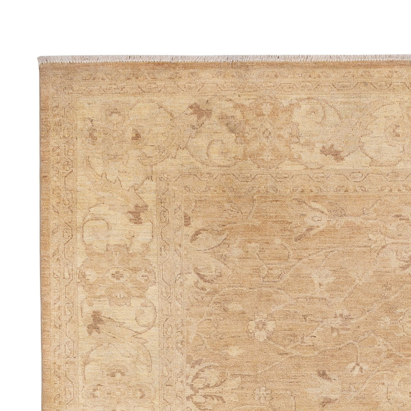 Ziegler Carpet 305x240cm - Oriental Carpet