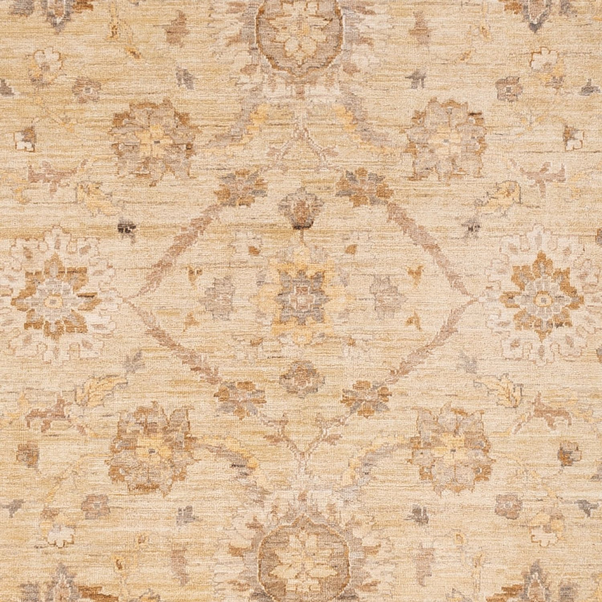 Ziegler Carpet - 290 x 244 cm - beige
