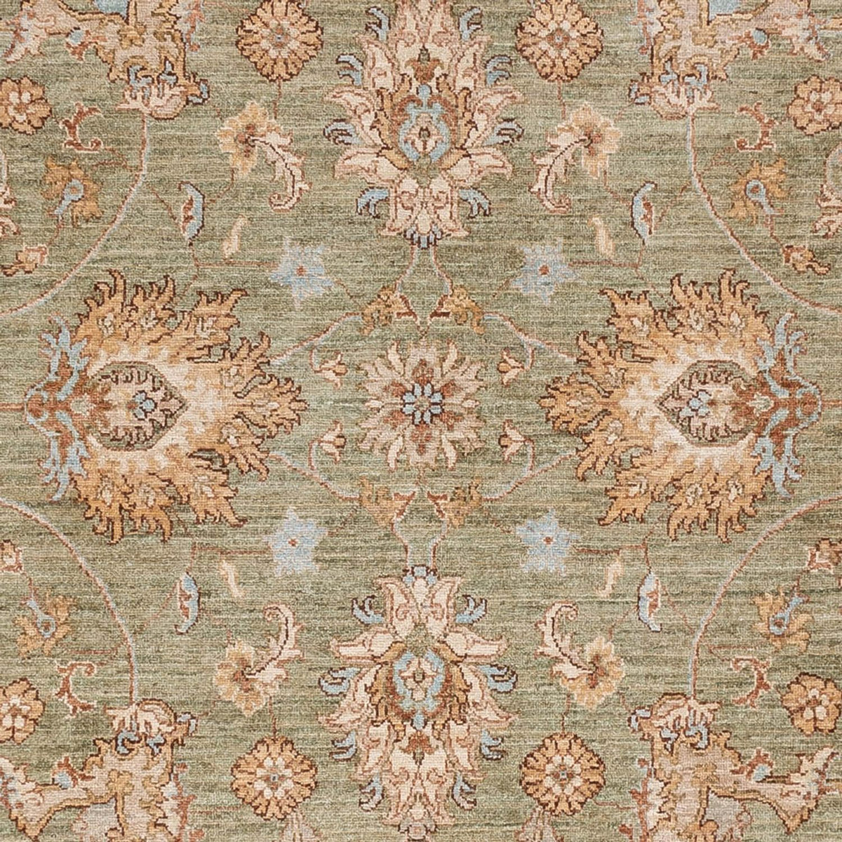 Ziegler Carpet - 306 x 246 cm - olivgrön