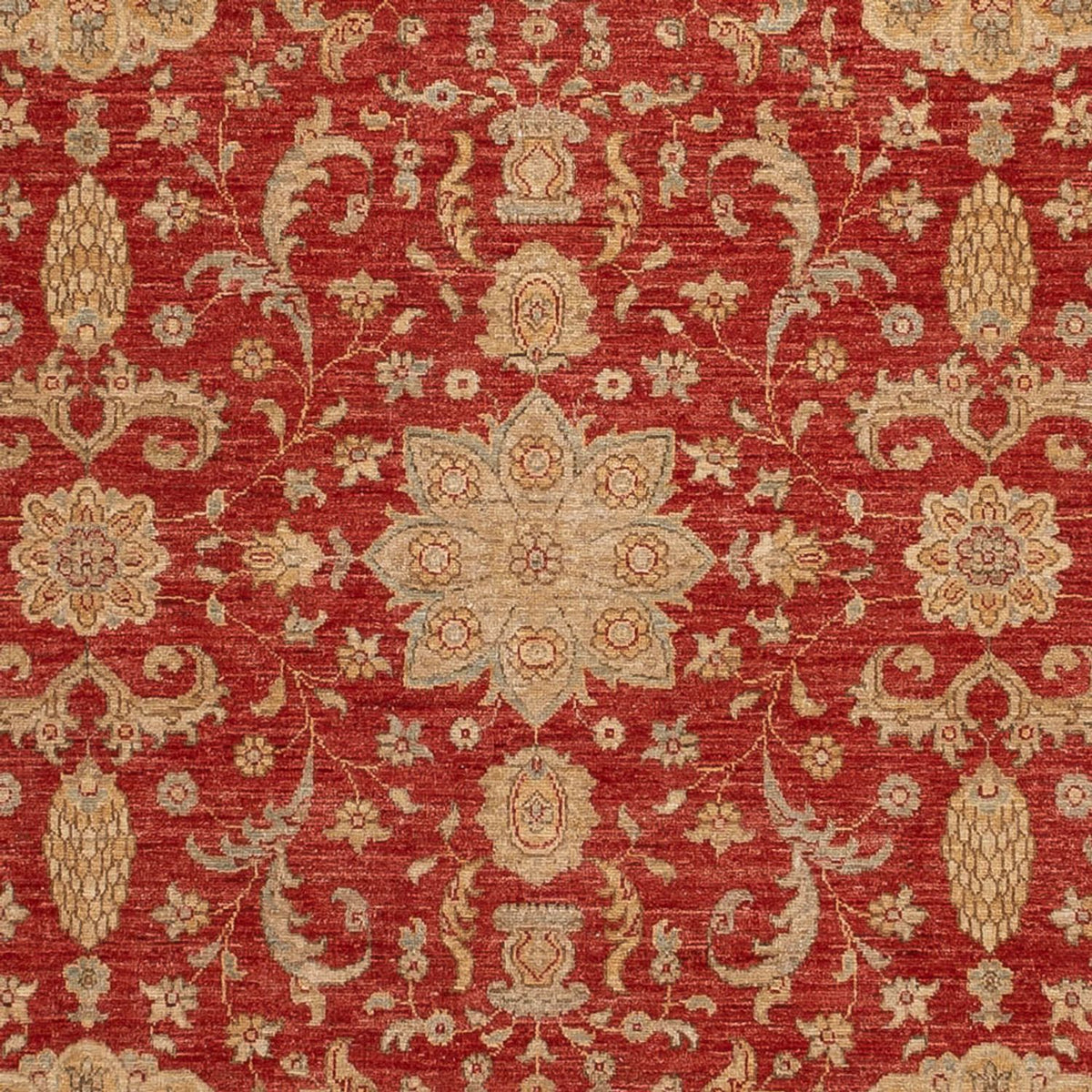 Ziegler Carpet - Ariana - 304 x 245 cm - röd