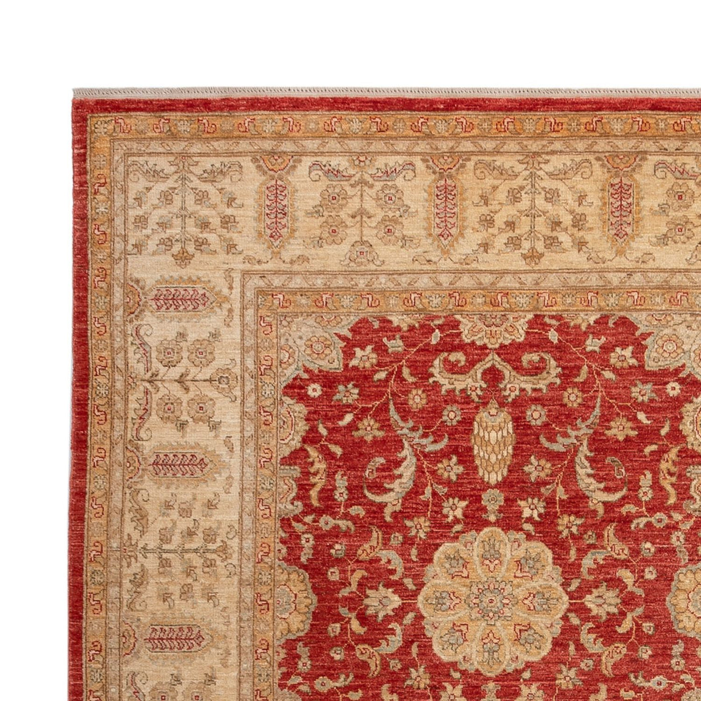 Ariana Mattan 304x245cm - Oriental Carpet