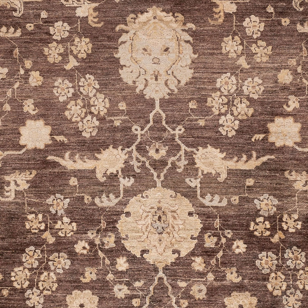 Ziegler Carpet - 309 x 243 cm - brun