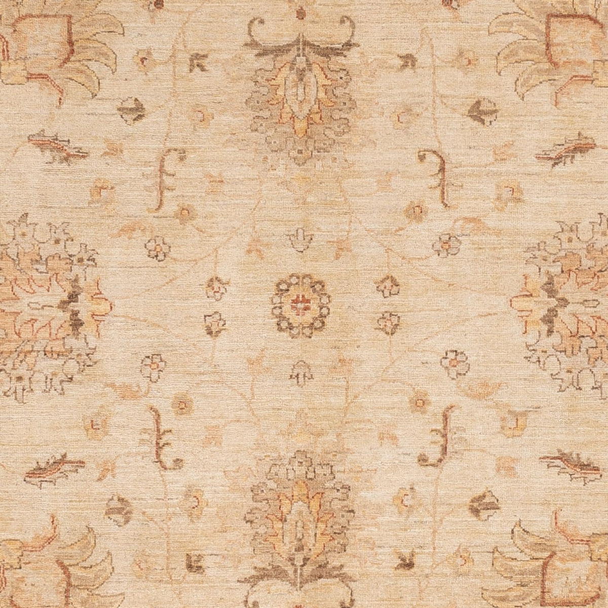 Ziegler Carpet - 298 x 241 cm - beige