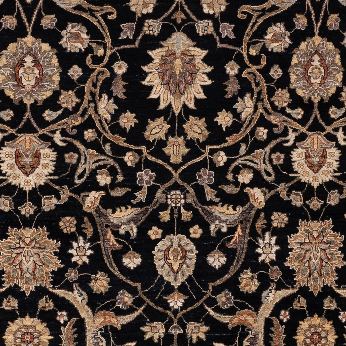 Ziegler Carpet - 299 x 245 cm - svart