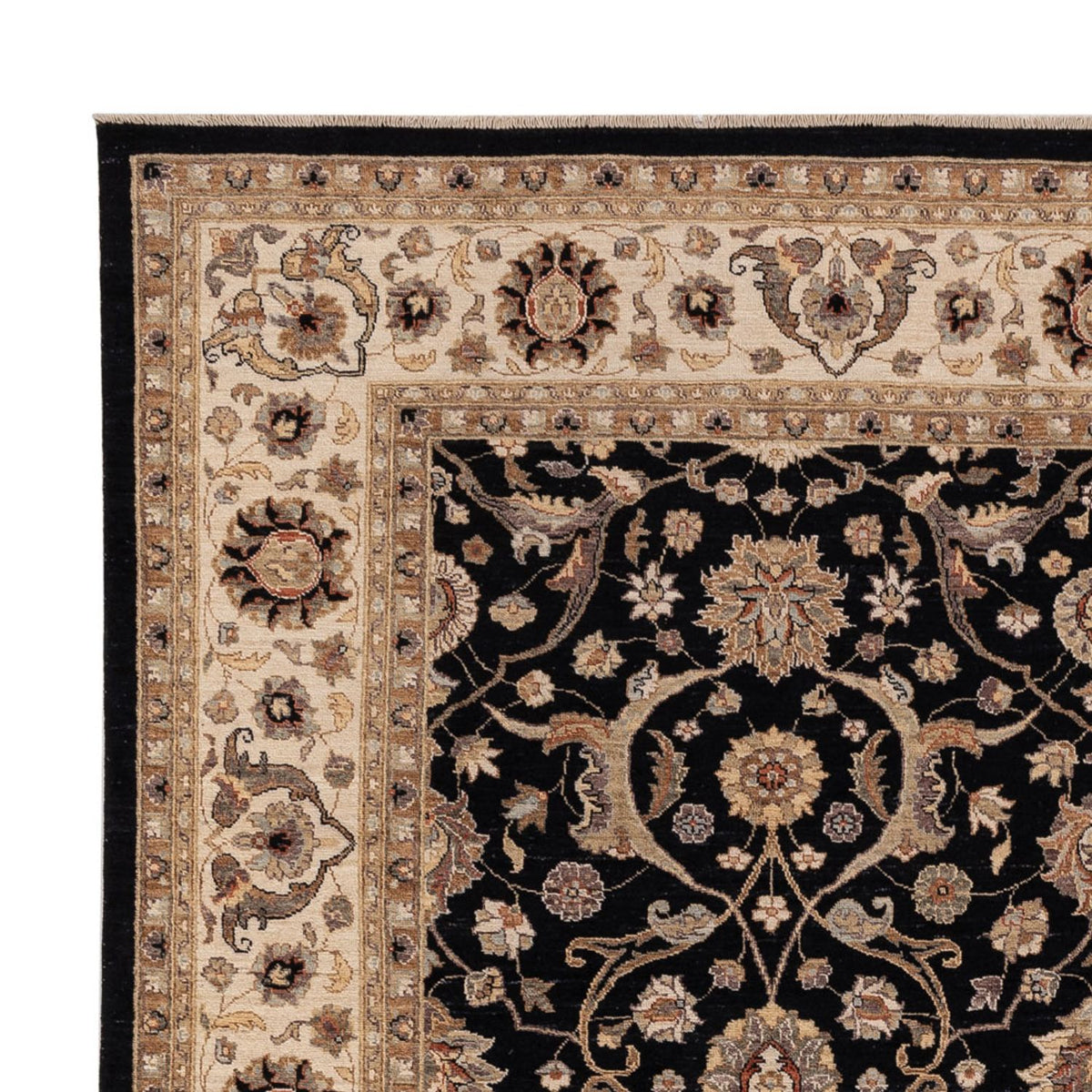 Ziegler Carpet 245x299cm - Oriental Carpet