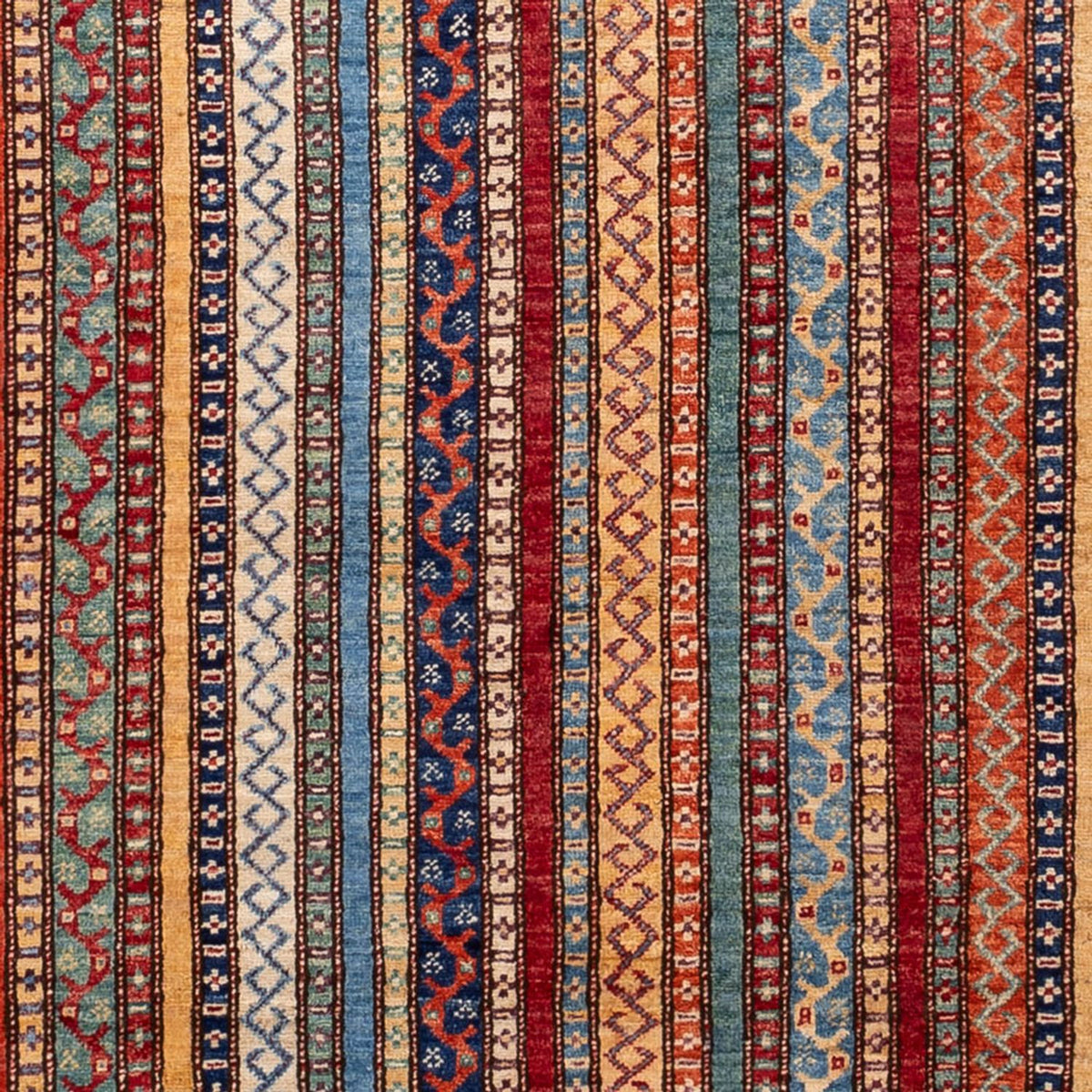 Ziegler Carpet - Shal - 237 x 171 cm - flerfärgad