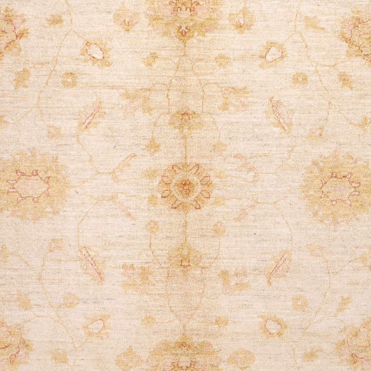 Ziegler Carpet - 294 x 205 cm - beige