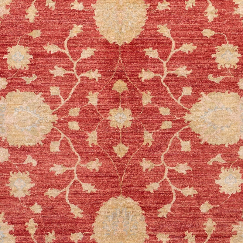Ziegler Carpet - 291 x 207 cm - röd