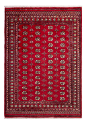 Afghansk matta - Bukhara - 292 x 206 cm - röd