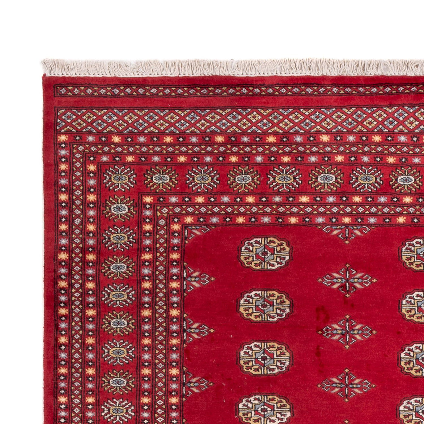 Bukhara Mattan 307x201cm - Oriental Carpet