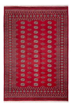 Afghansk matta - Bukhara - 300 x 201 cm - röd