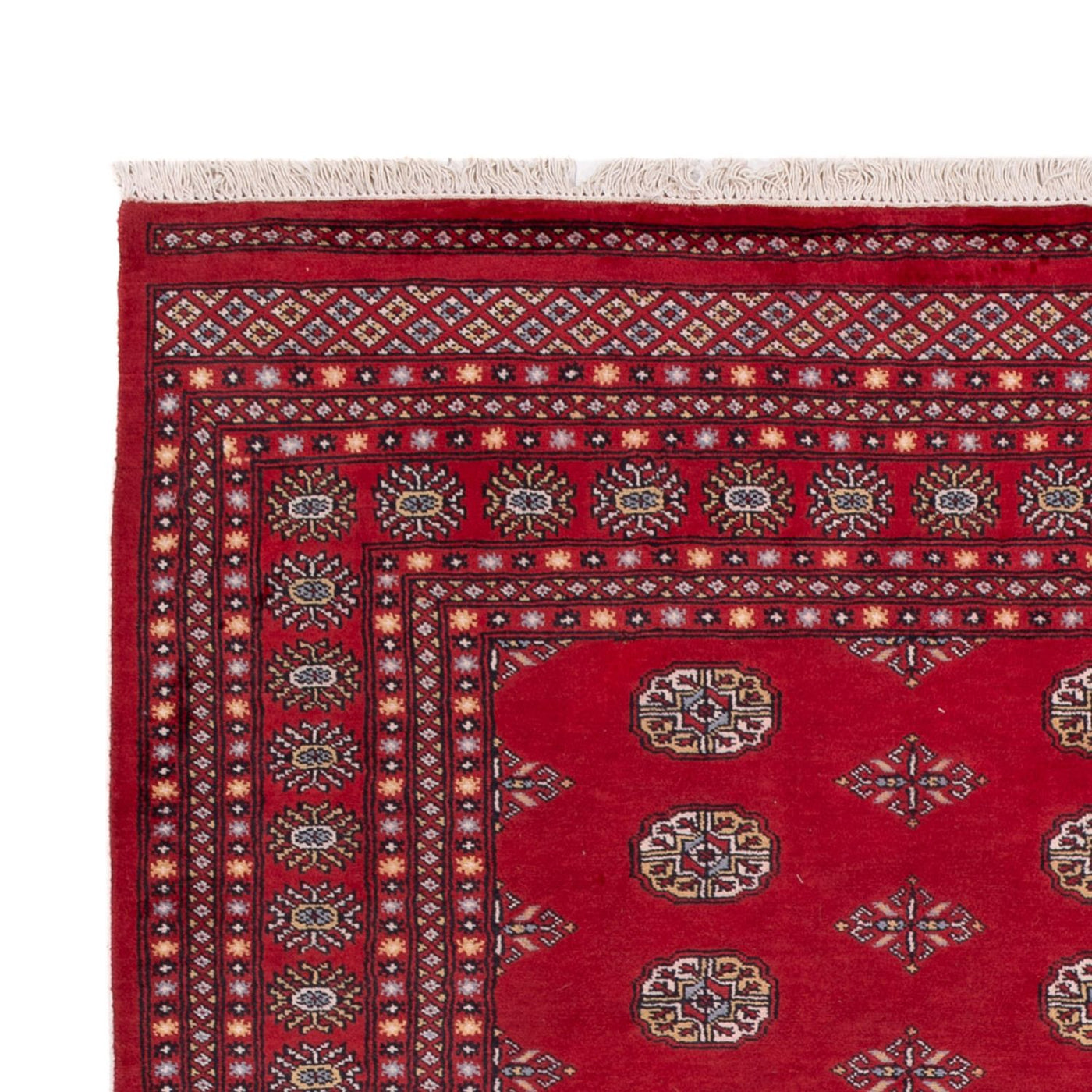 Bukhara Mattan 300x201cm - Oriental Carpet
