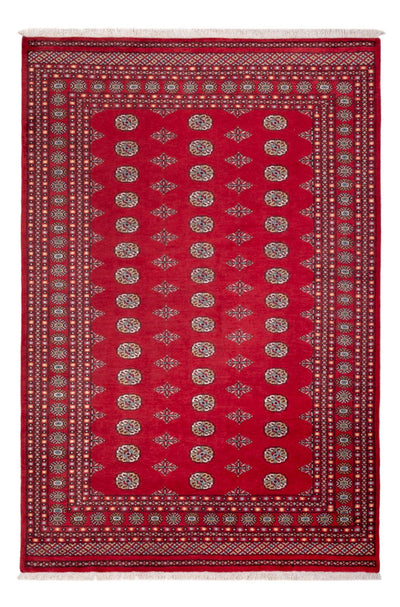Bukhara Mattan 206x304cm - Oriental Carpet
