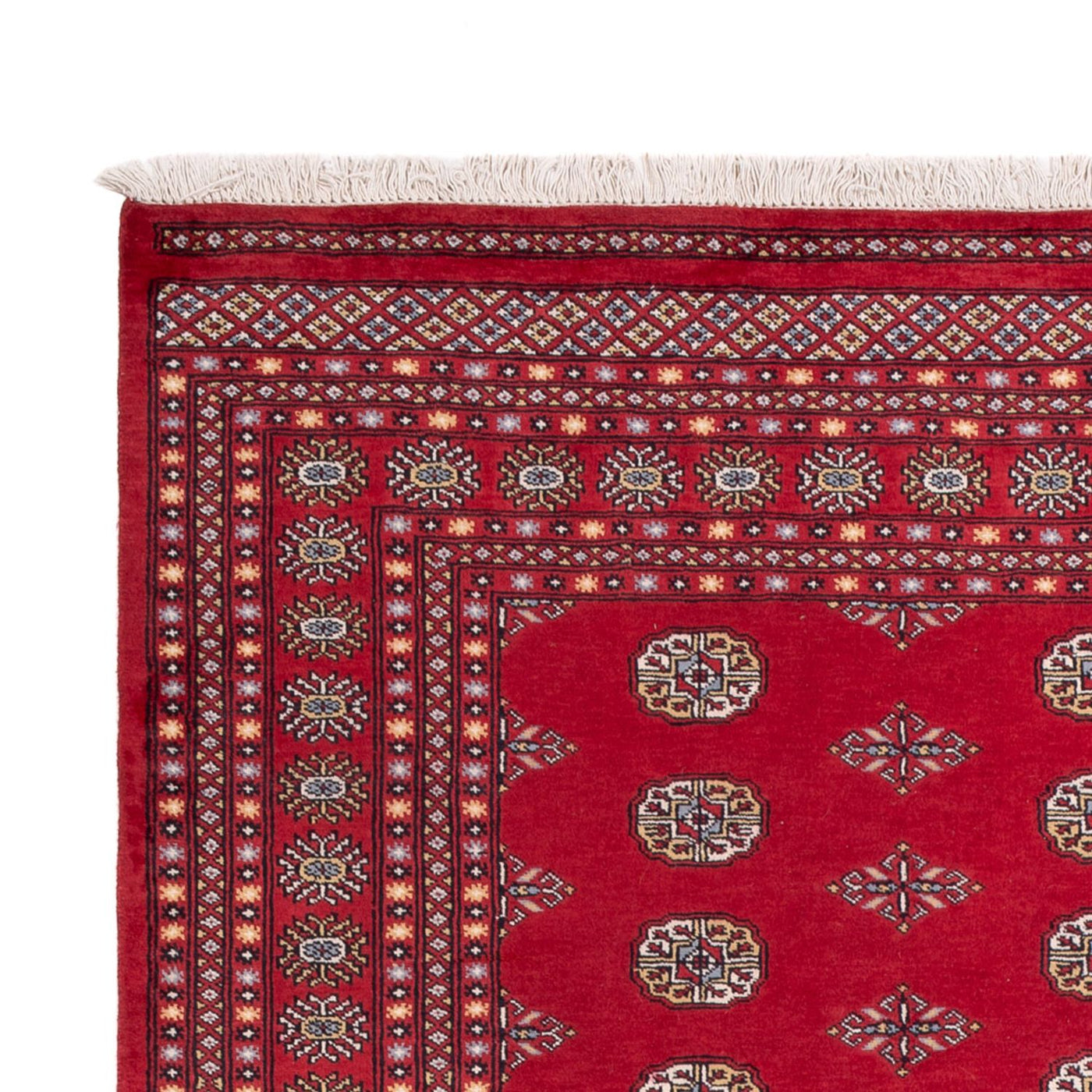 Bukhara Mattan 304x206cm - Oriental Carpet