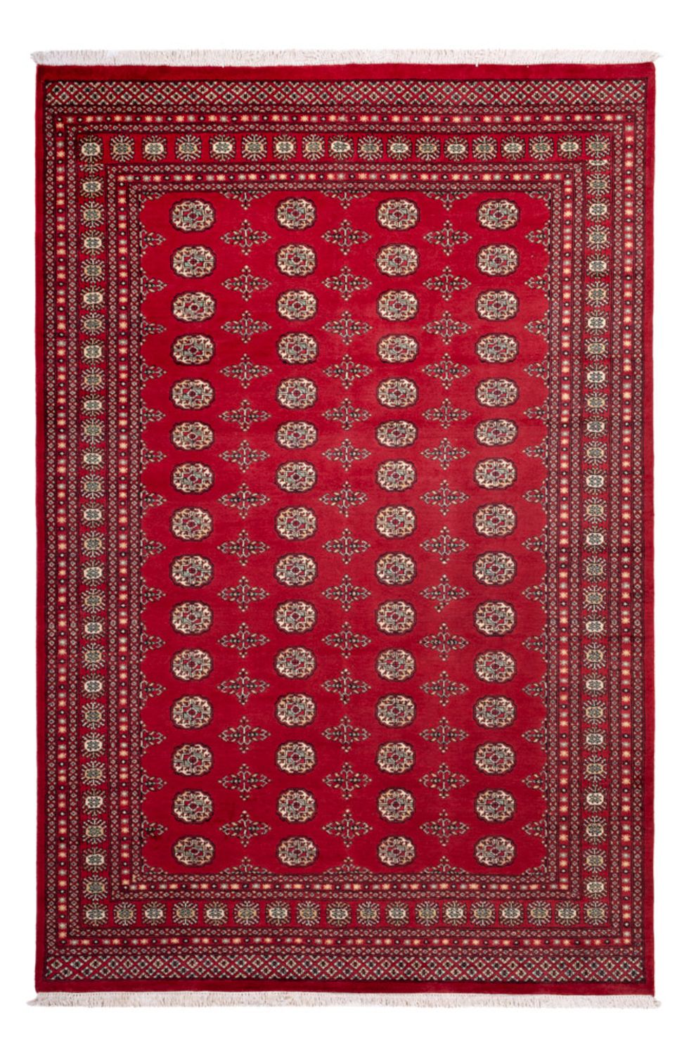 Afghansk matta - Bukhara - 318 x 210 cm - röd