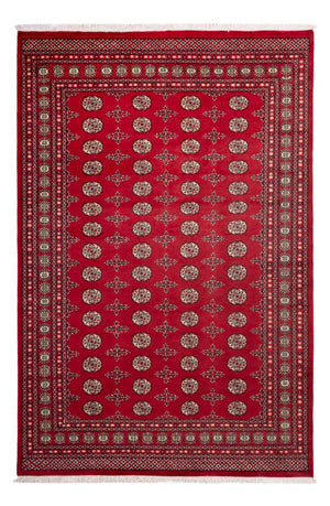 Afghansk matta - Bukhara - 318 x 210 cm - röd