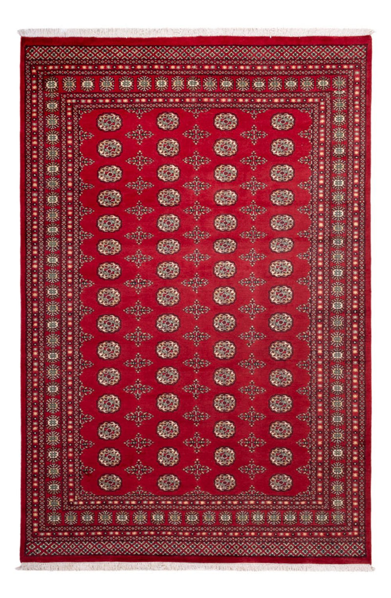 Afghansk matta - Bukhara - 318 x 210 cm - röd