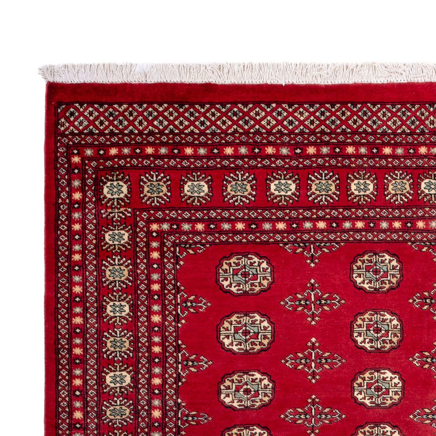Bukhara Mattan 318x210cm - Oriental Carpet
