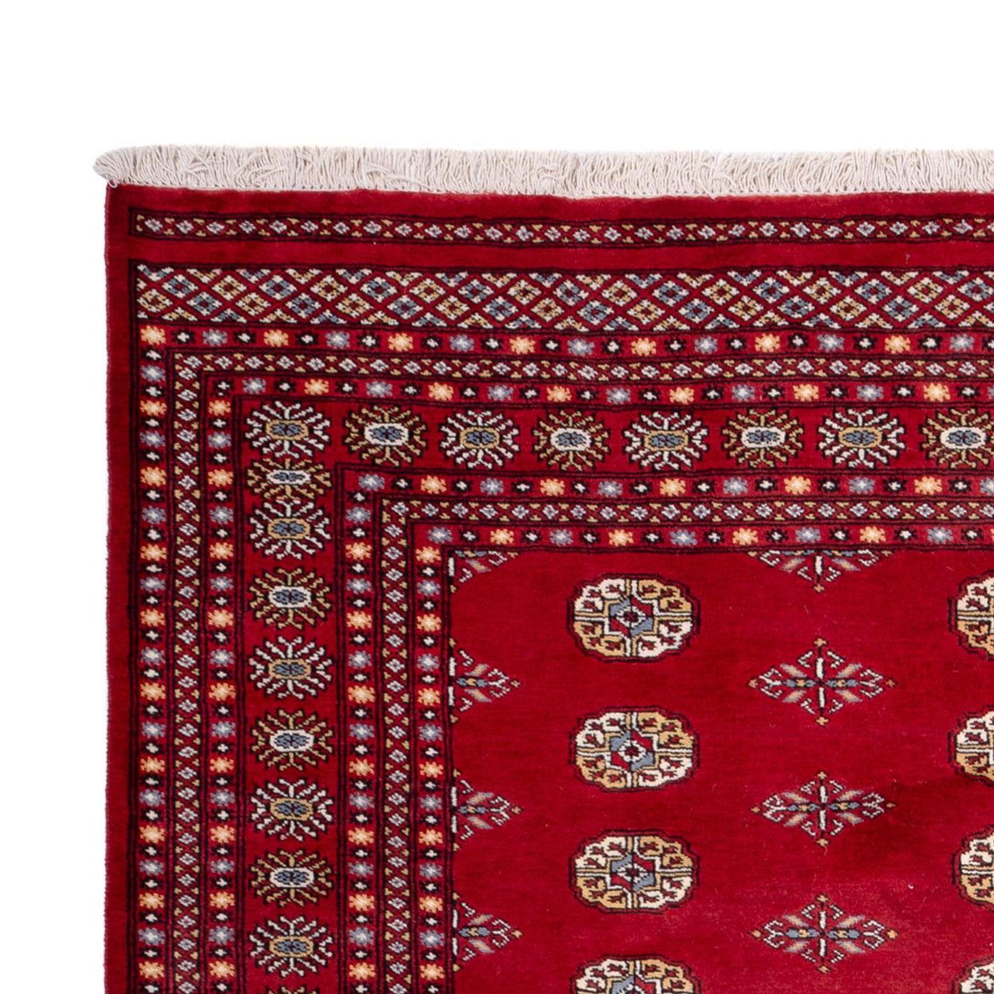 Bukhara Mattan 308x207cm - Oriental Carpet