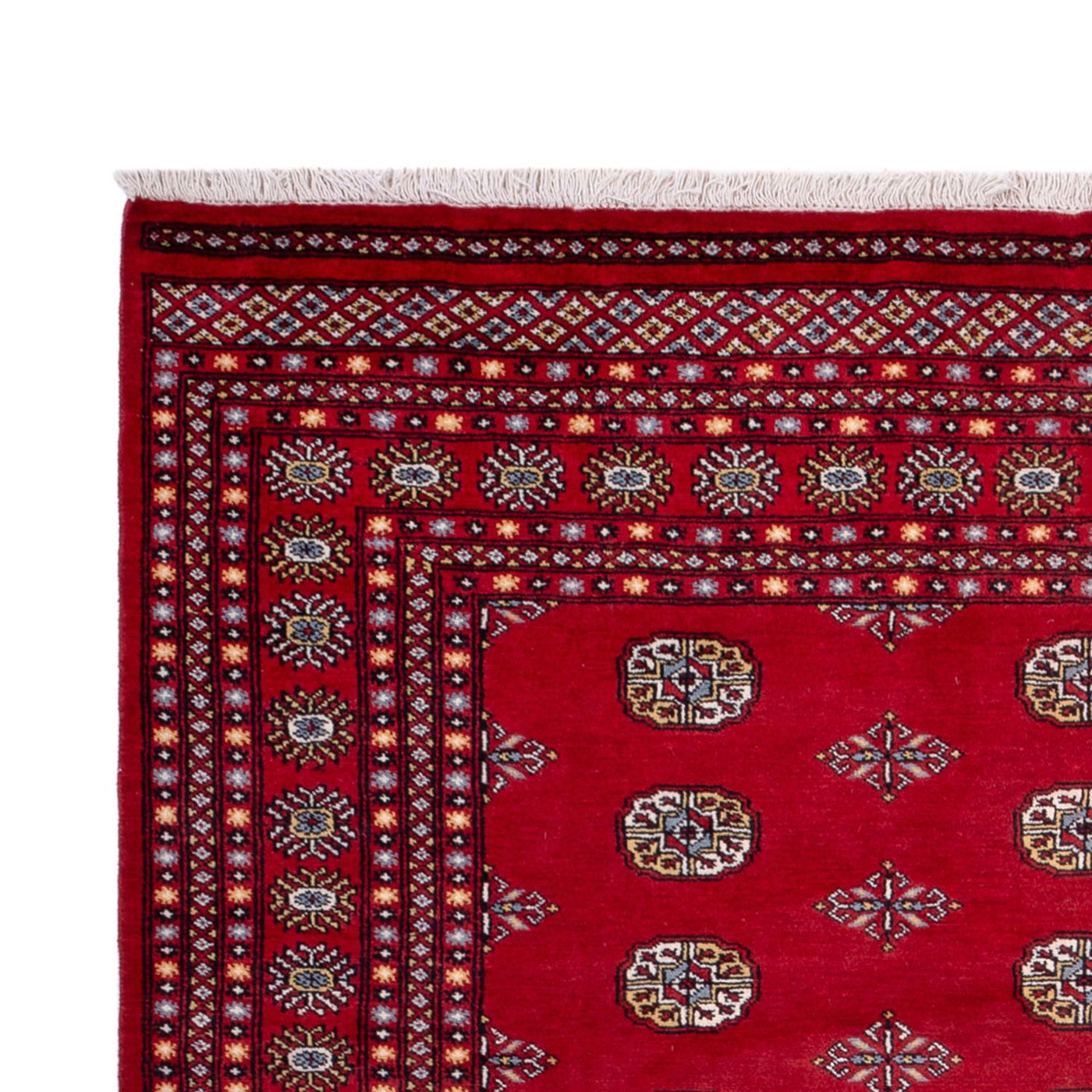 Bukhara Mattan 314x202cm - Oriental Carpet