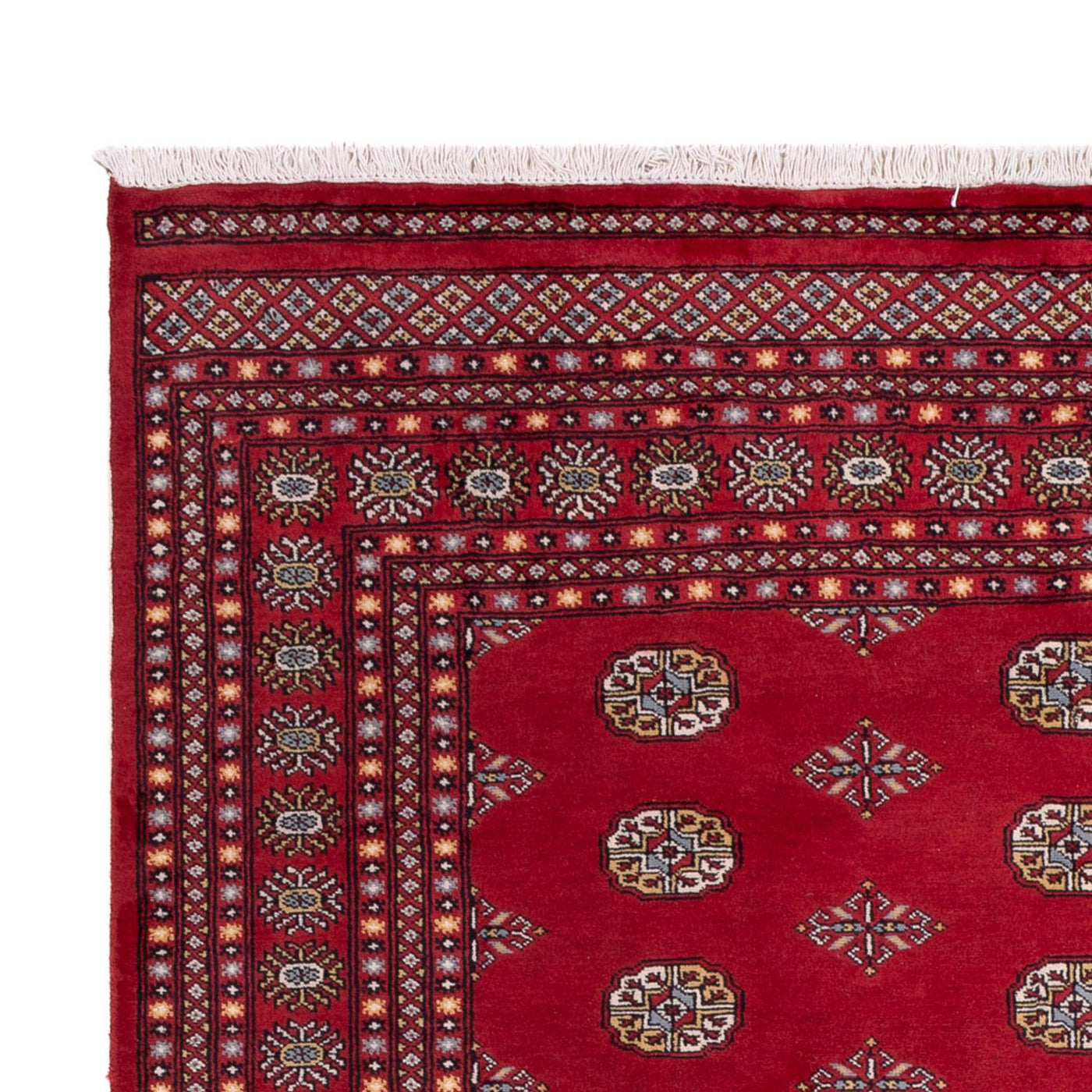Bukhara Mattan 306x202cm - Oriental Carpet