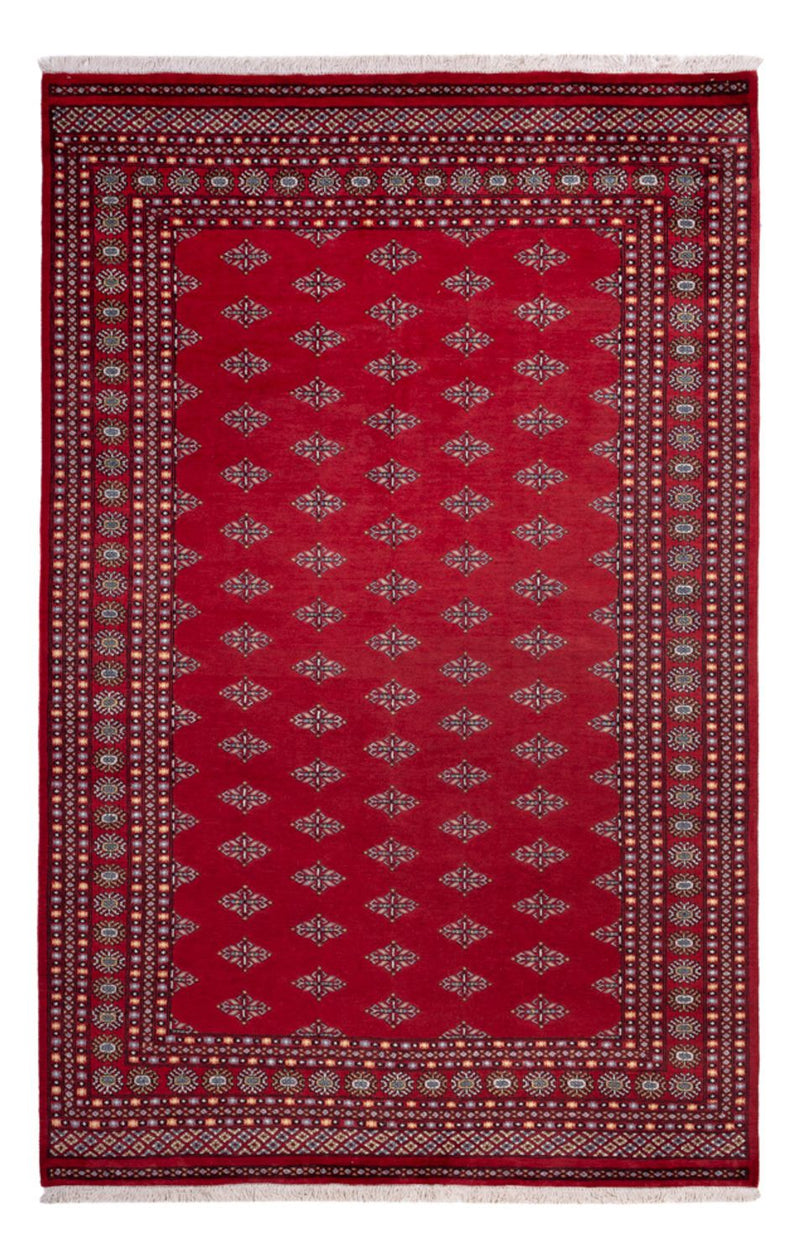 Afghansk matta - Bukhara - 317 x 204 cm - röd