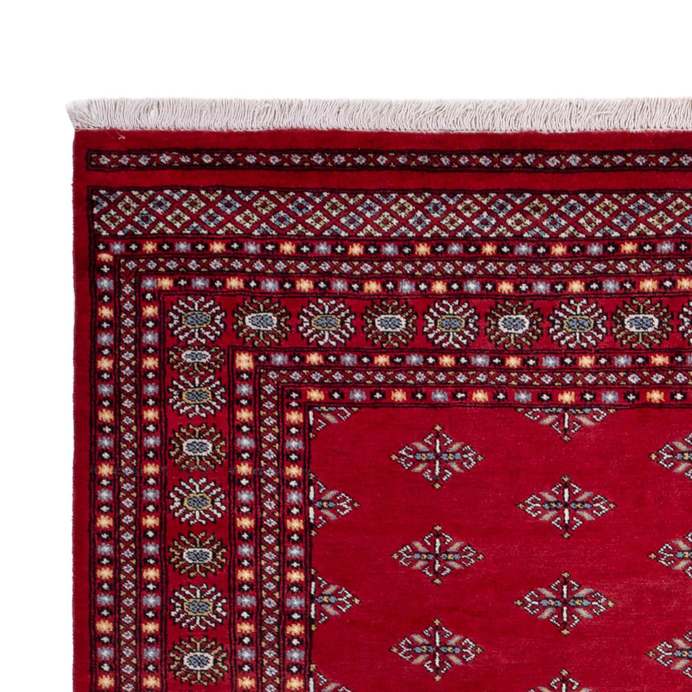 Bukhara Mattan 317x204cm - Oriental Carpet