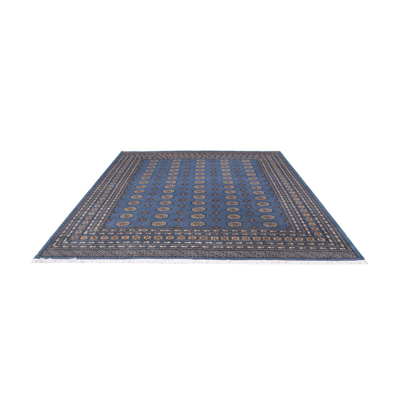 Afghansk matta - Bukhara - 305 x 249 cm - blå