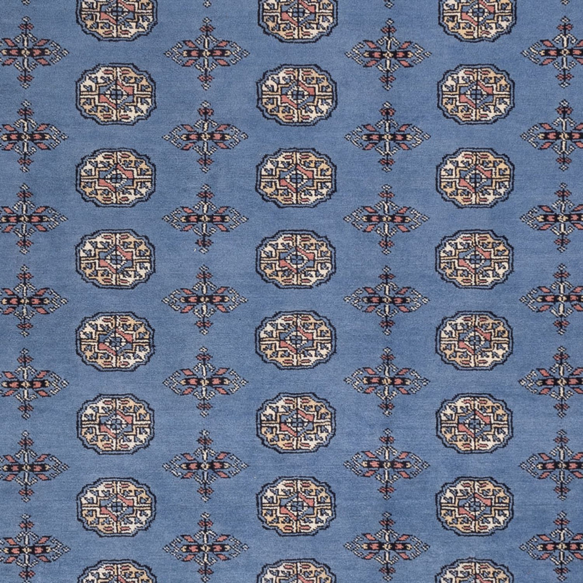 Afghansk matta - Bukhara - 297 x 250 cm - blå