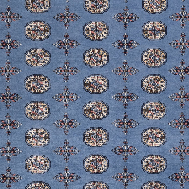 Afghansk matta - Bukhara - 297 x 250 cm - blå