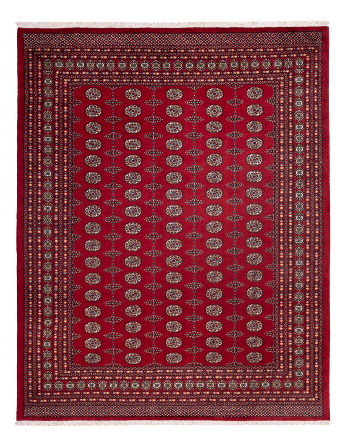 Afghansk matta - Bukhara - 309 x 246 cm - röd