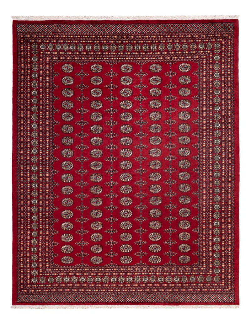 Afghansk matta - Bukhara - 309 x 246 cm - röd