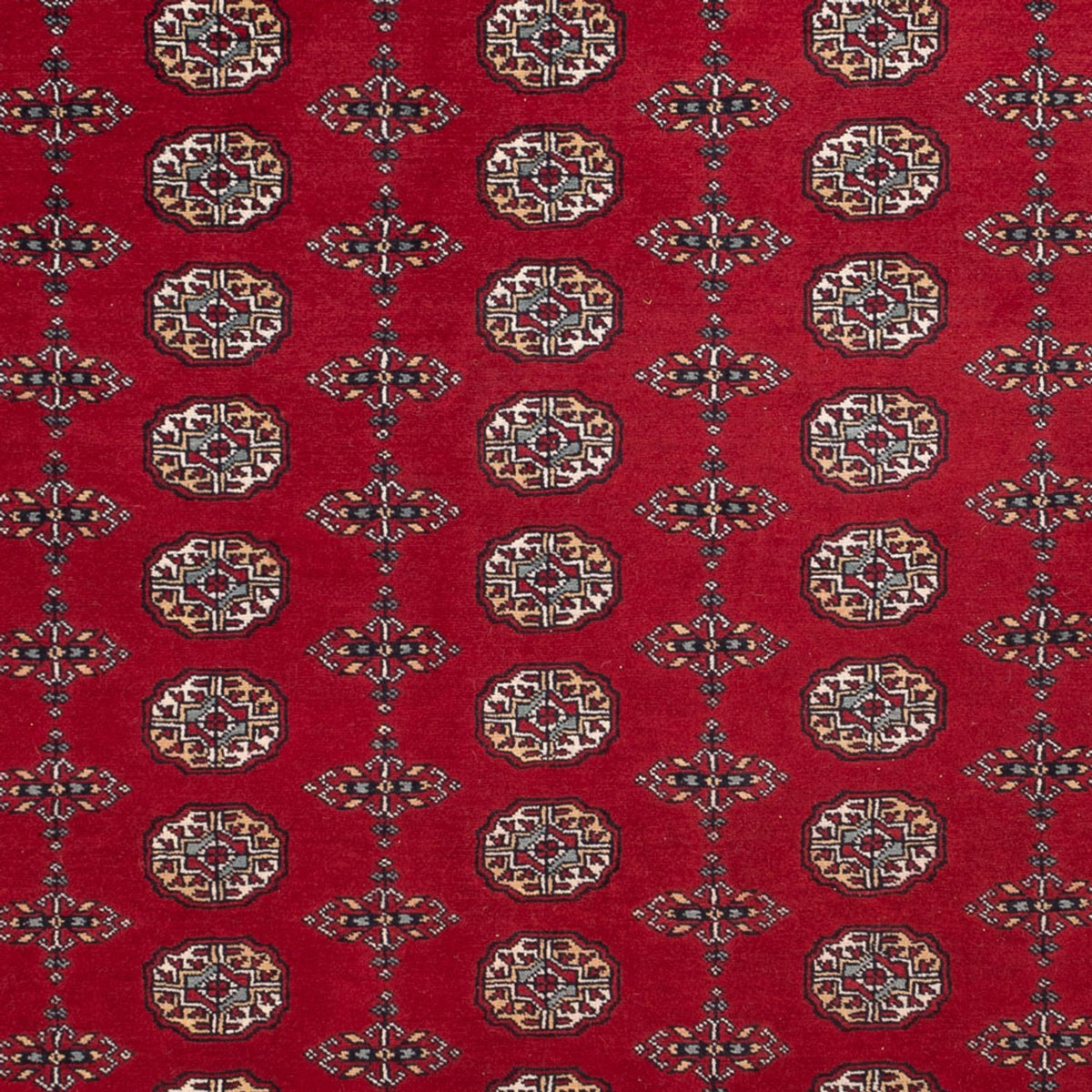 Afghansk matta - Bukhara - 309 x 246 cm - röd