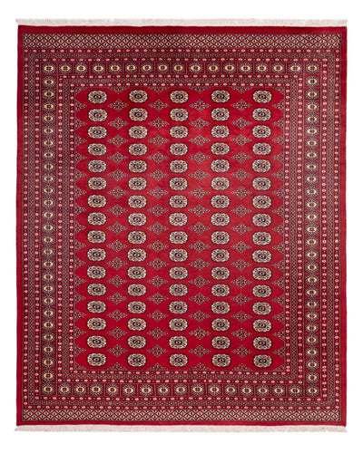 Bukhara Mattan 244x305cm - Oriental Carpet