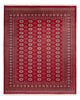 Bukhara Mattan 305x244cm - Oriental Carpet