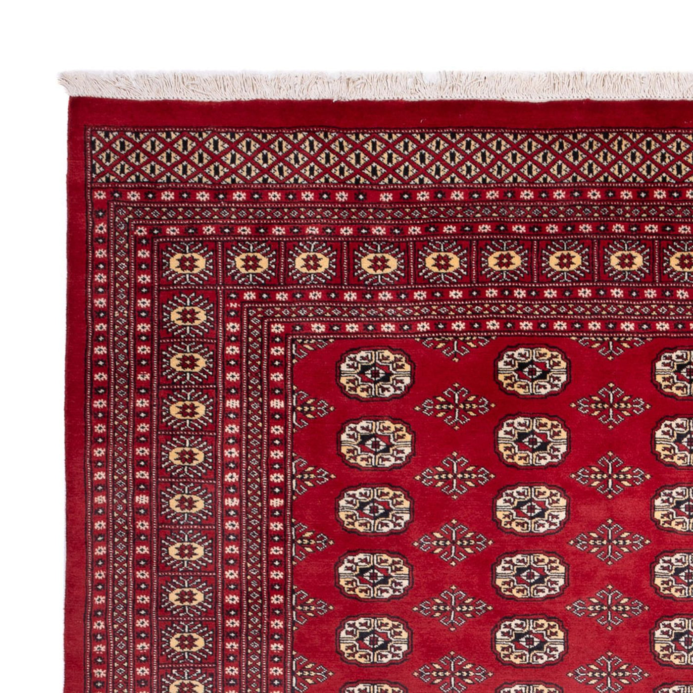 Bukhara Mattan 305x244cm - Oriental Carpet