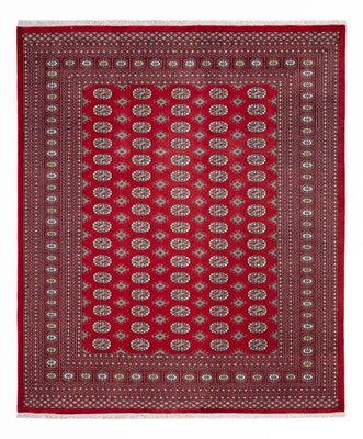 Afghansk matta - Bukhara - 296 x 250 cm - röd