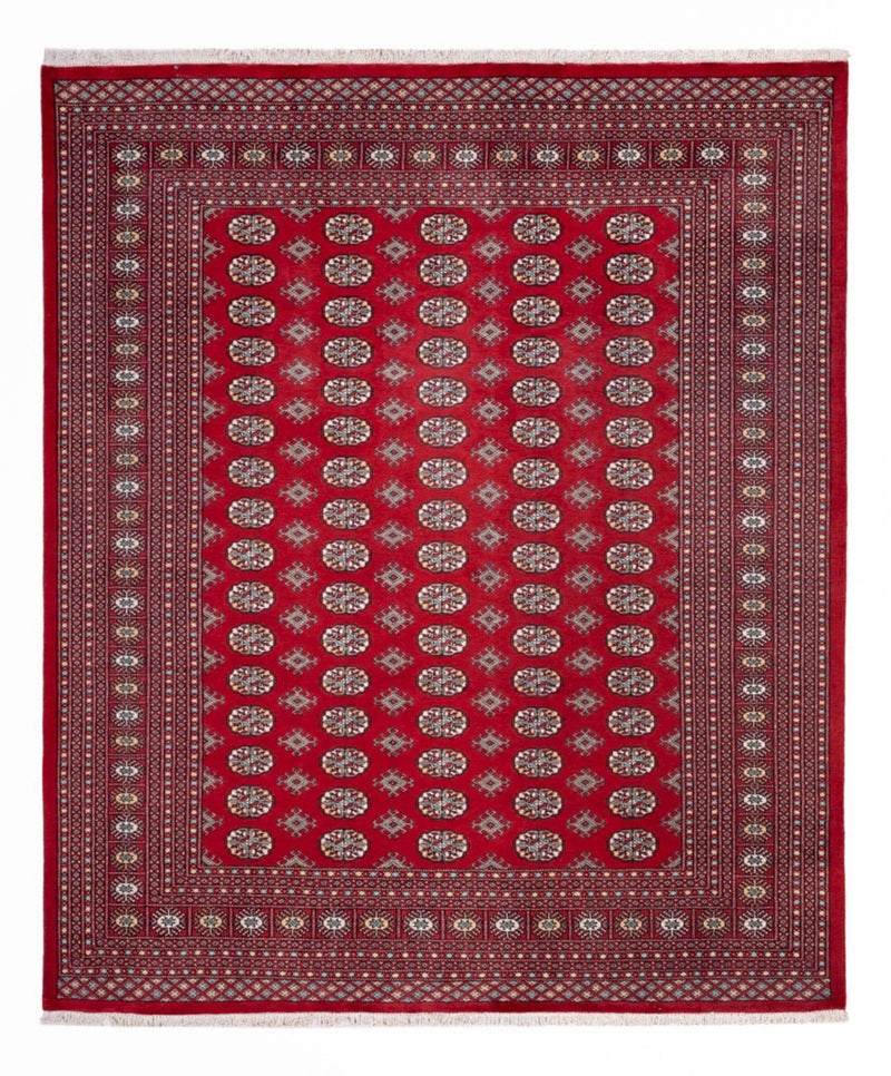 Afghansk matta - Bukhara - 296 x 250 cm - röd